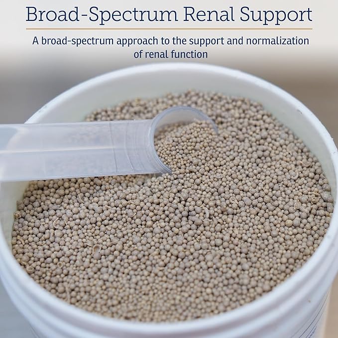 Rx Vitamins Renal Feline Beadlets - Cat Kidney Support with Astragalus Root and Milk Thistle for Cats - Supports Kidney and Immune Health in Cats - 3.52oz / 100g