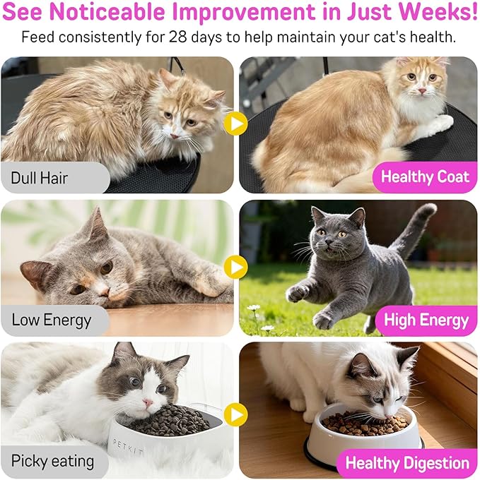 Cat Vitamins Chews, 15 in 1 Cat Multivitamin Treats for Health, Immune, Joint Support, Skin & Coat, & Digestion, Vitamins with Taurine, Omega-3s & Probiotics, Chicken (30 Day Supply)