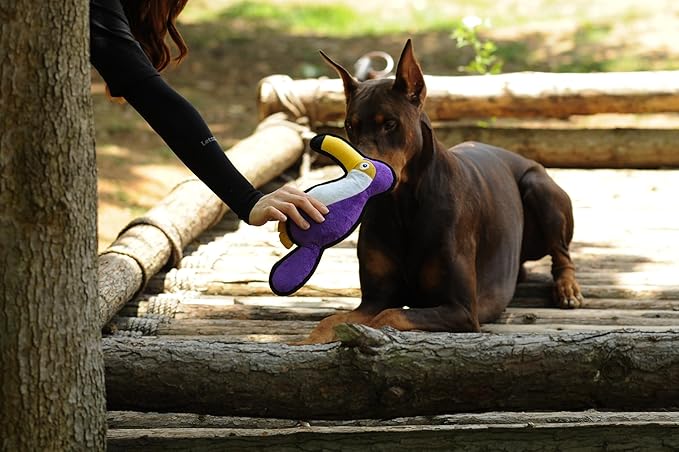 Dog Toy, Squeaky Plush Dog Toy, Rough & Tough Interactive Pet Toy, Recycled Fabric and Double Stitched (Parrot)