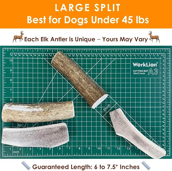 4-Pack Large Split Elk Antler Dog Chews (6 to 7.5+ in) – Natural Long Lasting Chews for Small Medium Dogs Under 45 lbs, Gentle Light Chewers, Dental Health Treats