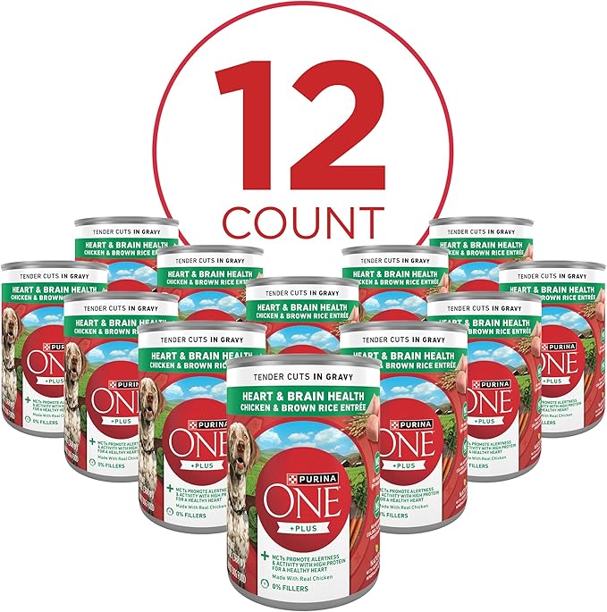 Purina ONE Tender Cuts Brain & Heart Chicken & Brown Rice Wet Dog Food - 13 oz. Can