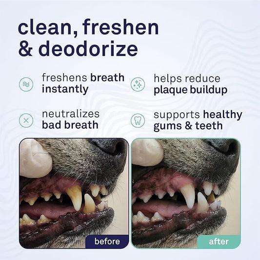 Petpost | Toothpaste for Dogs - Coconut Oil and Baking Soda Based Dental Gel That Naturally Eliminates Bad Breath - Dirt, Gunk, and Tooth Buildup Gone - Mint Flavor 4 oz.