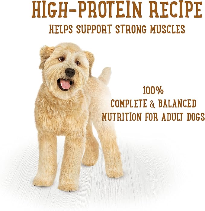 Beneful Purina Gravy Wet Dog Food, Prepared Meals Simmered Beef Entree - (8) 10 oz. Tubs (Pack of 2)