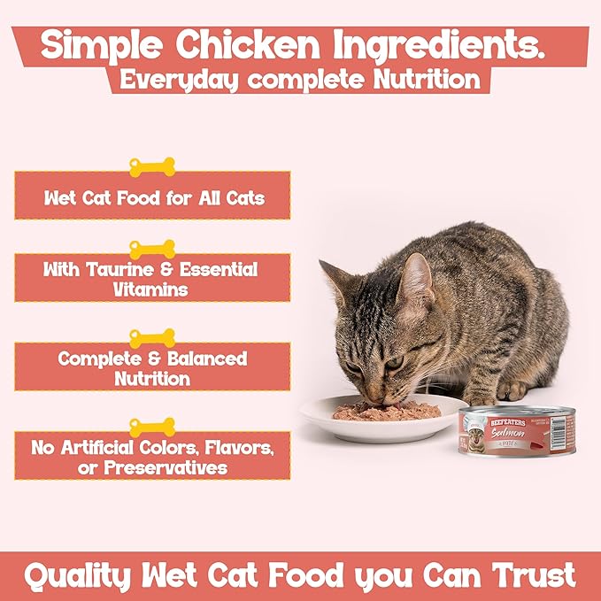 Beefeaters Salmon Pate Wet Cat Food 3oz (24-Pack) | Adult Wet Food with Taurine, Premium Catfood Wet Food, No Artificial Additives, Balanced Nutrition | Supports Immune System & Vision