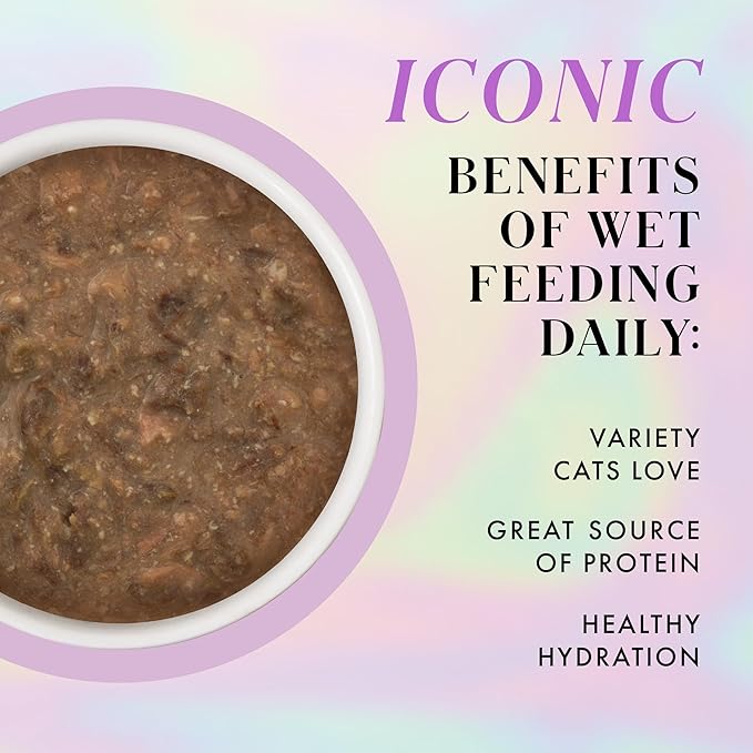 Weruva Paris Hilton Pamper Like Paris Wet Cat Food, Beef and Salmon in Gravy, 2.47oz Pouch, Pack of 12