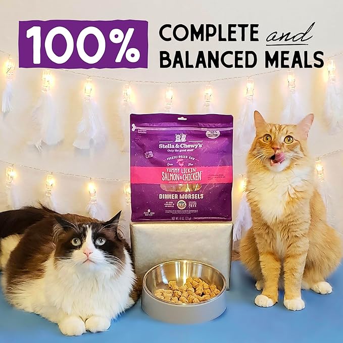 Stella & Chewy's Freeze-Dried Raw Cat Dinner Morsels - Premium Salmon & Chicken Recipe with 98% Wild-Caught & Cage-Free Protein - Natural Grain-Free Cat & Kitten Food - Made in USA - 1 oz (Pack of 2)