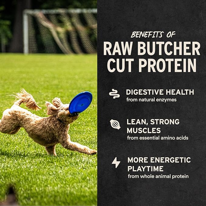 Vital Essentials Freeze Dried Dog Treats | Beef Tripe Bites, Single Protein | Premium Quality | Grain Free Training Treats for Dogs, 2.3 oz Bag