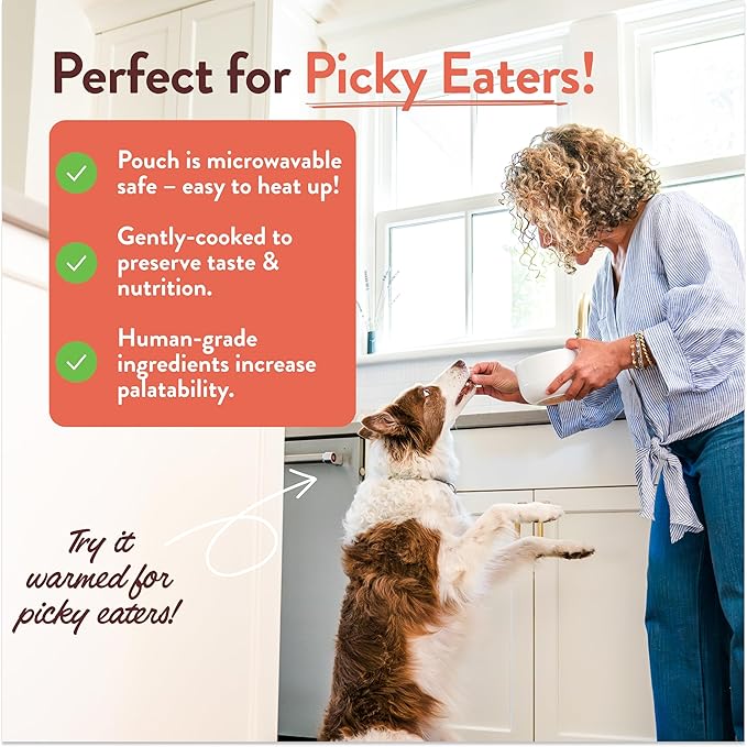 Portland Pet Food Company Fresh Dog Food Pouches - Human-Grade Toppers Wet Pet Meal & Mixers - Gluten-Free Limited Ingredient Tuxedo’s Chicken & Yams - Large & Small Breed Puppy & Senior Dogs - 8 Pack
