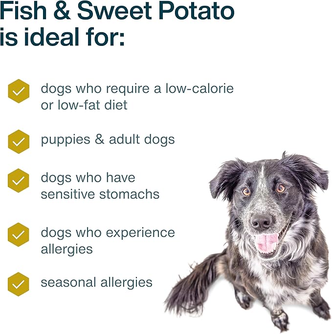 JustFoodForDogs Frozen Fresh Dog Food, Complete Meal or Topper, Fish & Sweet Potato Human Grade Recipe, 18 oz (Pack of 7)