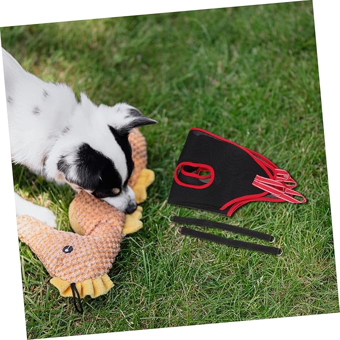 Kisangel Complete Pet Grooming Set Nail Clippers File Comb Sling for Large Dogs Cats Random Color