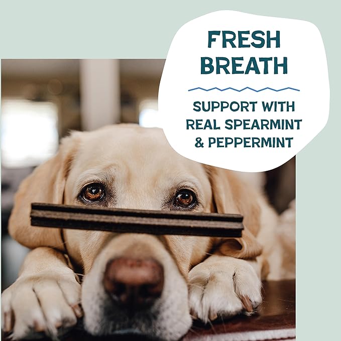 Shameless Pets Triple Mint Dental Chews for Dogs, 32 Chews - Natural Dog Teeth Cleaning Treats with Fresh Breath Benefits | Grain-Free Dental Sticks for Small, Medium & Large Dogs