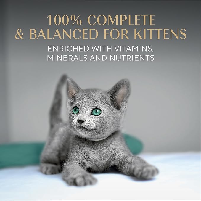Sheba Perfect Portions Kitten Wet Cat Food Pate Chicken Entree, Salmon Entree, and Turkey, 2.6 oz. Twin-Pack Trays (, 48 Servings), 24 Count (Pack of 2)