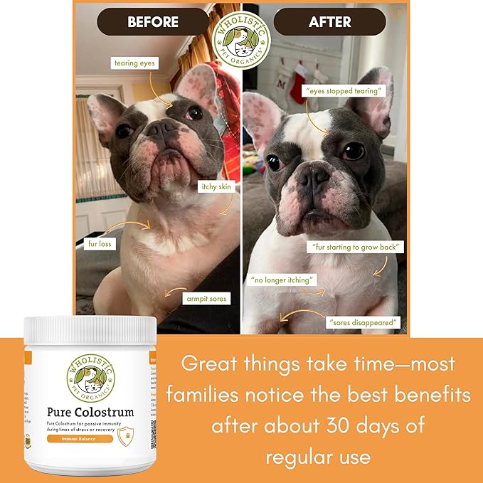 Wholistic Pet Organics Colostrum for Dogs & Cats - Bovine Colostrum Powder - Cat & Dog Allergy Relief, Immune Support & Itching Skin Relief - Cat and Dog Vitamins for Itchy Skin - 1 oz - 70 Scoops