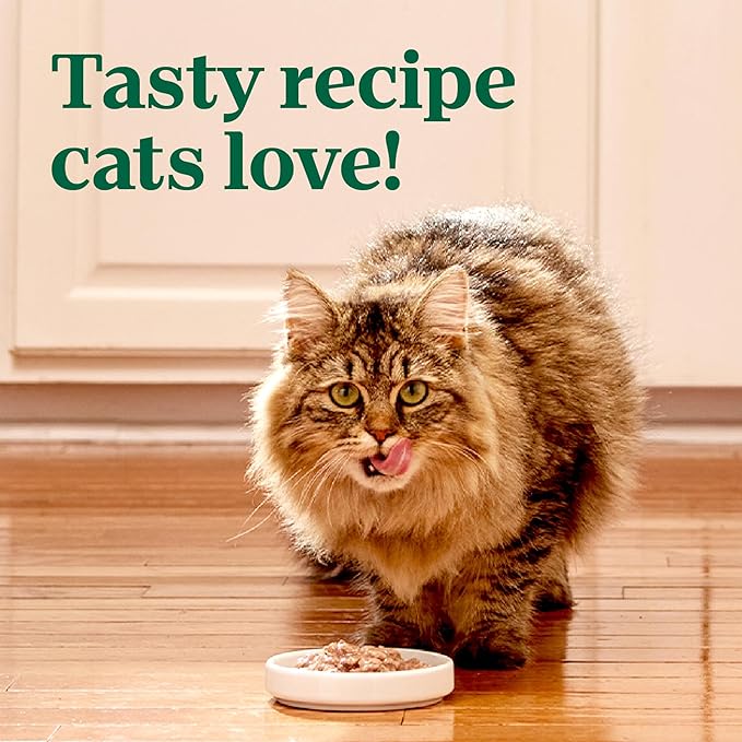 Nutro Perfect Portions Wet Cat Food Cuts in Gravy Chicken Recipe, Cat Food Wet Recipe, 2.64 oz. Twin-Pack Trays (24 Count)