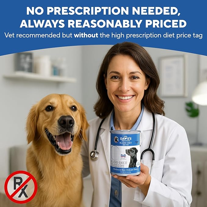 Dave's Dog Food Bland Diet Dog Food for Sick Dogs with Upset Stomach (Chicken & Rice), Economy Size for Large Pups or Big Eaters, Sensitive Stomach, Economy Size 22 oz (Case of 12)