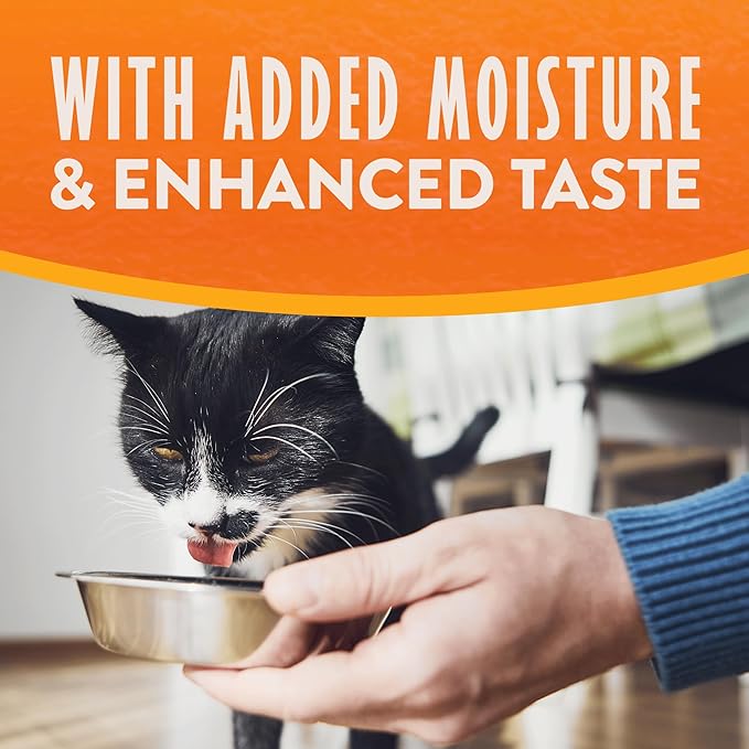 Natural Balance Limited Ingredient Reserve Split Cup Duck & Sweet Potato Soft Pate Wet Cat Food Recipe for Sensitive Stomachs and for Healthy Digestion, 2.6 oz. (Pack of 10)