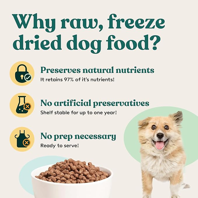 Little Hunter- All Natural Freeze Dried Raw Fresh Dog Food (Beef) | Small & Large Breeds Topper & Meals | High Protein + Organic Fruits & Veggies Veterinarian Made Small Batch USDA Certified raw Beef