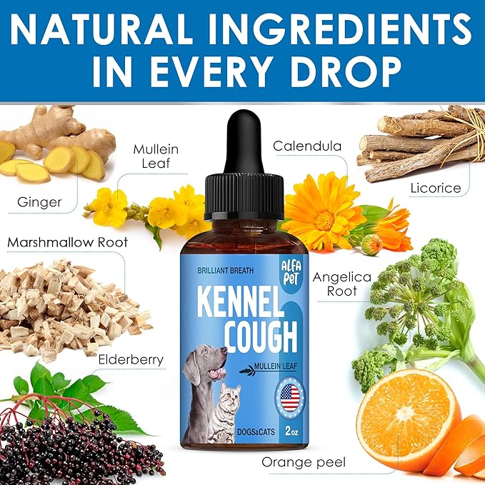 Kennel Cough Medicine for Dogs & Cats – Natural Supplement for Dog Allergy Relief – Cat Cold Medicine for Respiratory Support – Congestion and Sneezing Relief for All Pet Breeds – 2 Oz