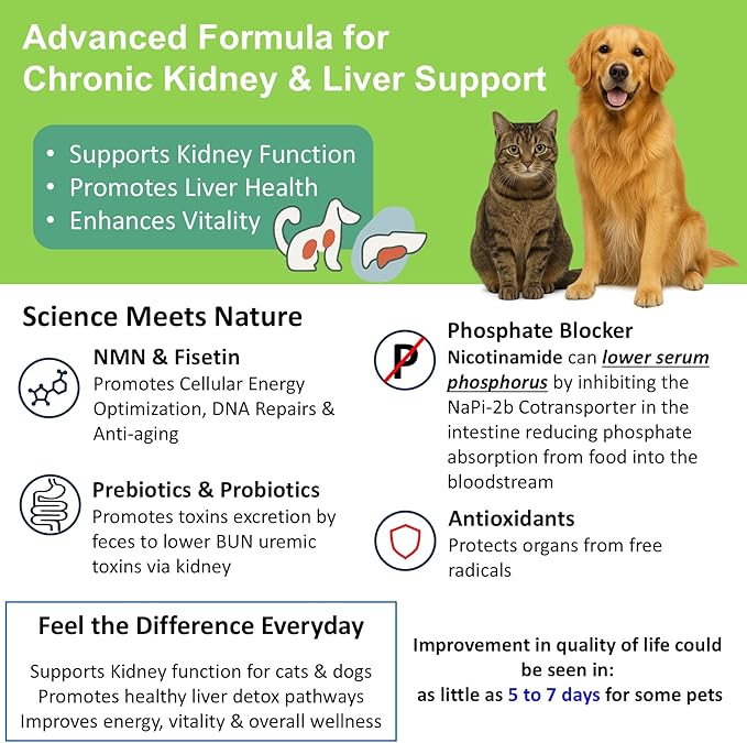 𝗘𝘃𝗲𝗻𝘁𝘂𝗮𝗹𝗹𝘆 𝗬𝗼𝘂𝗻𝗴 12-in-1 CKD Kidney & Liver Support Restore for Cats & Dogs: Advanced Phosphate Binder w/NMN, Fisetin, Antioxidants, Prebiotic & Probiotic (30 Caps)