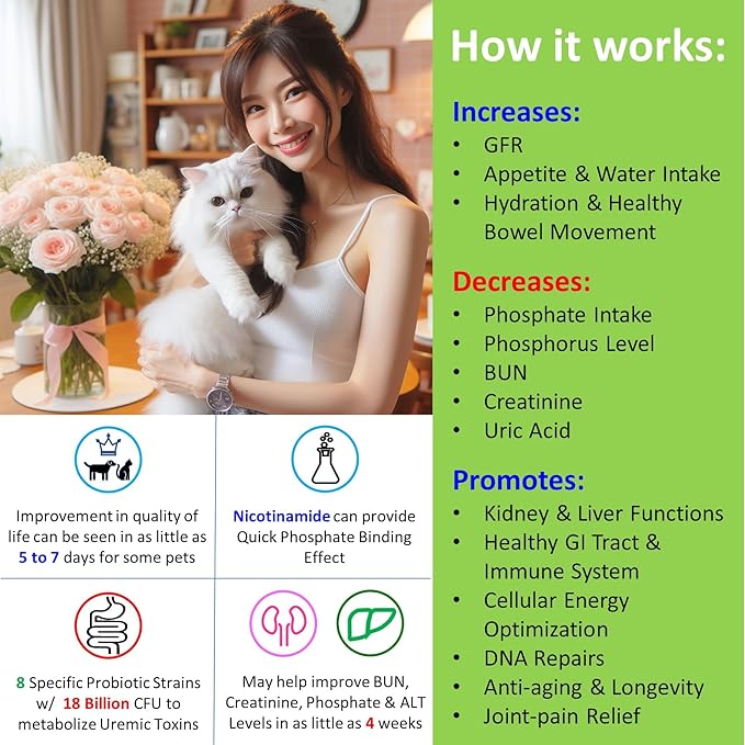 𝗘𝘃𝗲𝗻𝘁𝘂𝗮𝗹𝗹𝘆 𝗬𝗼𝘂𝗻𝗴 12-in-1 CKD Kidney Support Restore 4 Cats & Dogs: Super Phosphate Binder w/NMN, Fisetin, Antioxidants, Pre & Probiotic 4 Healthy Kidney & Liver Functions (60 Caps)