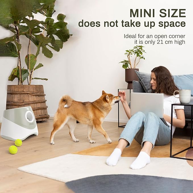 Elevon Dog Ball Thrower Launcher, Indoor/Outdoor Automatic Ball Launcher for Small and Medium-Sized Dogs, Includes 6 Mini Tennis Balls and a Data Line, Grey
