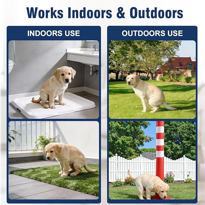 Potty Training Spray for Dogs, Go Here Dog Potty Training Spray & Dog Pee Spray, Puppy Potty Training Aid for Housebreaking, Natural Indoor & Outdoor Use, Blue