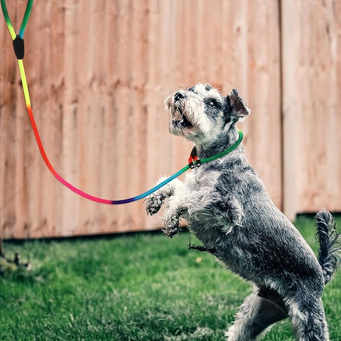Colorful Dog Walking Leash Dog Traction Strap Nylon Pet Leash Outdoor Portable Puppy Pulling Rope Reflective Pet Supply Walking and Training