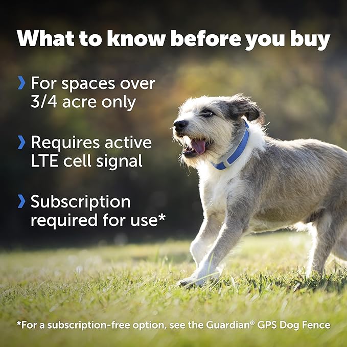 PetSafe Guardian GPS Tracking Dog Fence Collar - Reliable Dog Fence - Wireless Virtual System - Waterproof Collar - Long Lasting Battery - Blue