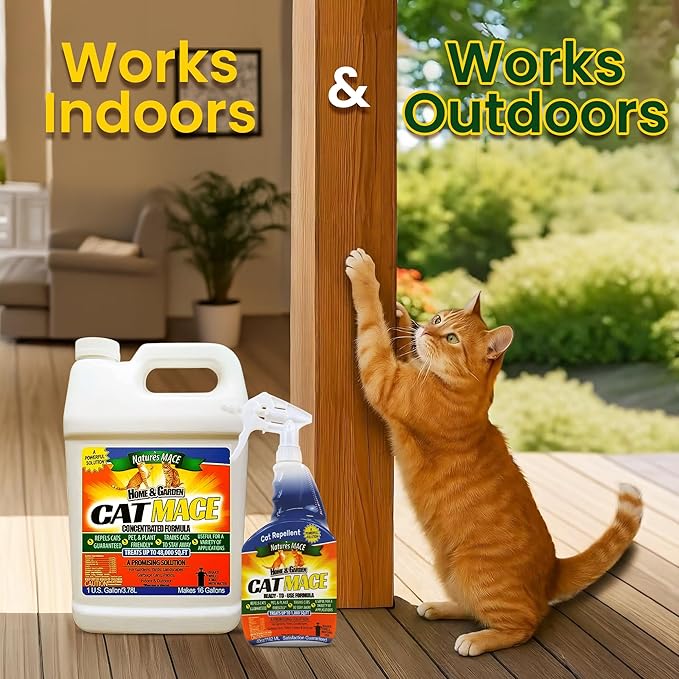Nature's MACE Cat Mace Cat Repellent, Training Liquid Deterrent Tool, Makes 16 Gallons, Keep Out of Lawn & Garden, Large Areas, Outdoor & Indoor Use, Yards, Landscaped, Plants, 1 Gallon Concentrate