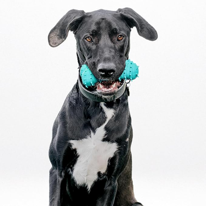 Playology Dog Toys | Puppy Toy Teething Bone Designed for Young & Active Dogs | Jumbo Peanut Butter Scented Toy Made from Non Toxic Materials
