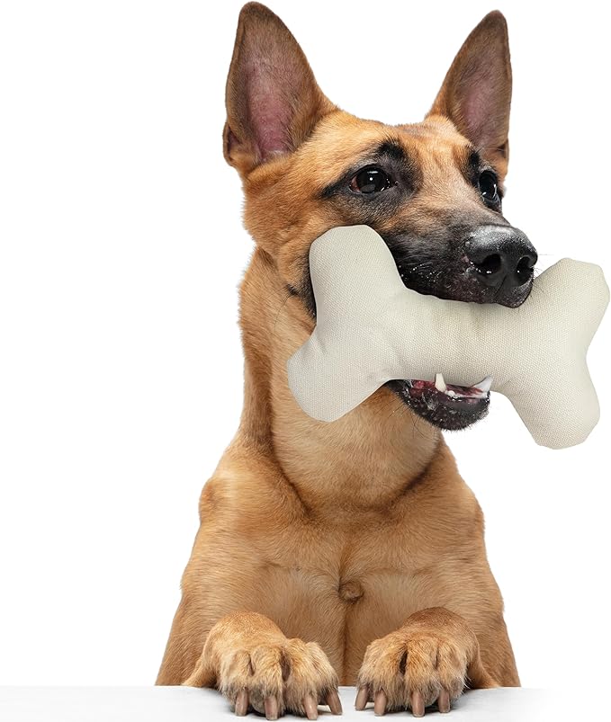 Durable Cotton Canvas Squeaky Dog Toy – Eco-Friendly Interactive Chew Toy for Small to Large Dogs-T-Bone (White)