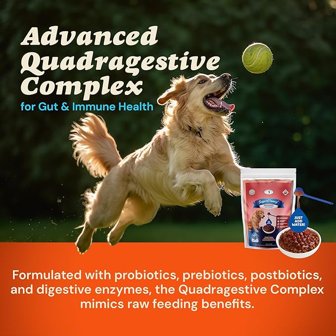 CLEAR CONSCIENCE PET® SuperGravy® Barkinara™ | Natural Dog Food Gravy Topper – Hydration Broth Food Mix – Human Grade – Kibble Seasoning for Picky Eaters – Gluten & Grain Free (18 oz. (120 Scoop))