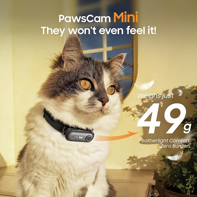 4K UHD Dog& Cat Pet Camera Collar, Video Recorder with Phone App Live View, Outdoor & Indoor POV Action Cam for Small and Medium-Size Dogs(White - Black Nylon Collar - M, 128g)