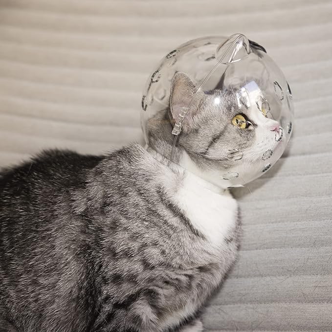 Cats Anti-Bite Muzzles Breathable Helmets Muzzles for Pet Nail Trimming & Grooming Transparent Not Covering Eye