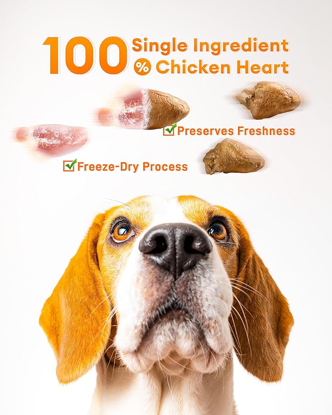 Freeze-Dried Chicken Hearts Cat & Dog Treats, 3.52 oz — High Protein, Single Ingredient, Grain Free, No Additives or Preservatives, Sealed Box
