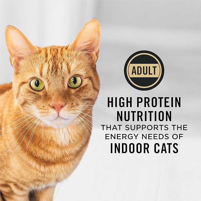 Purina Pro Plan Adult Indoor Chicken and Rice Formula High Protein Cat Food - 7 lb. Bag