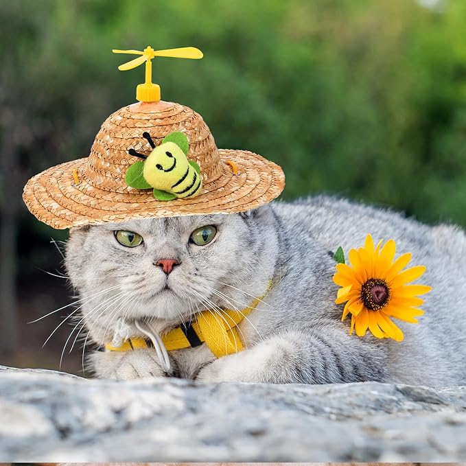 IMIKEYA Pet Straw Hat with Woven Prop, Playful Insect Pattern, Large Size Photo Accessory for Dogs, Cute Summer Sun Protection Pet Supplies