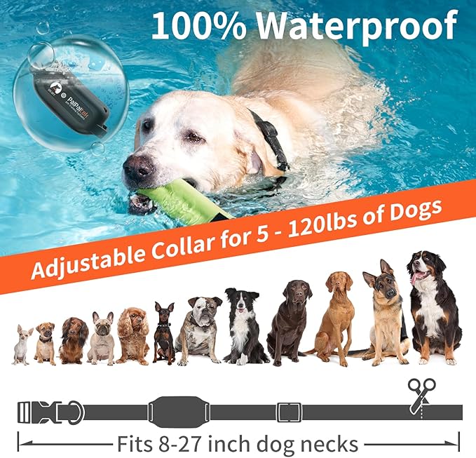 PaiPaitek Vibrating Collar No Shock for 3 Dogs Training, 3300ft Dog Training Collars with Vibration(1-9), Beep(1-9), Security Lock, Waterproof & Rechargeable Buzz Collar for Dogs 5-120 lbs - No Prongs