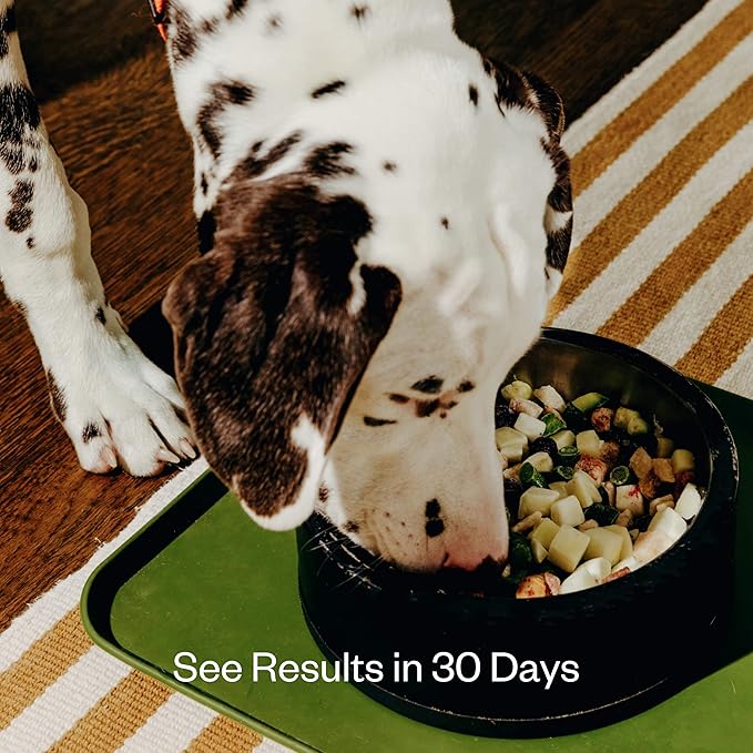 Maev Raw Dog Food, Better Than Freeze Dried Flash Frozen with Lean Beef Protein, Vitamin-Rich Organ Meat in Every Serving, Weight and Digestion Formulation, Adult Dogs, 10 Pounds (2 Packs) White