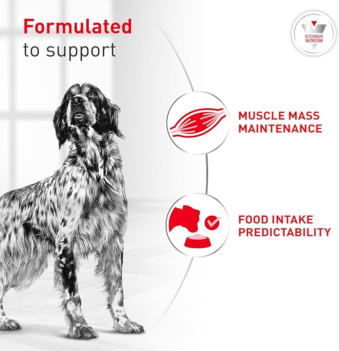 Royal Canin Veterinary Diet Glycobalance Dry Dog Food for Diabetic Adult Dogs, 6.6 lb Bag