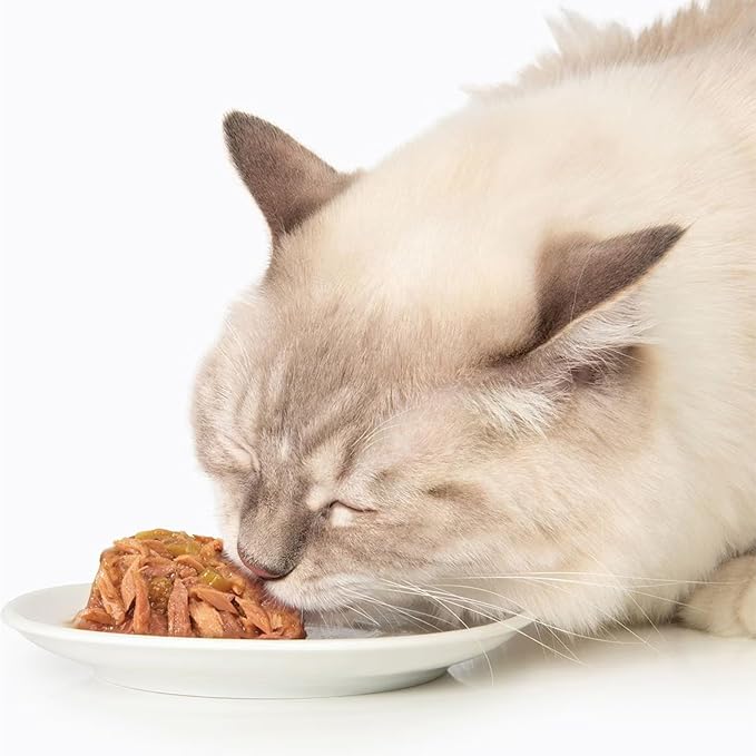 Catit Chicken Dinner with Salmon & Carrot – Hydrating and Healthy Wet Cat Food for Cats of All Ages (Pack of 6)