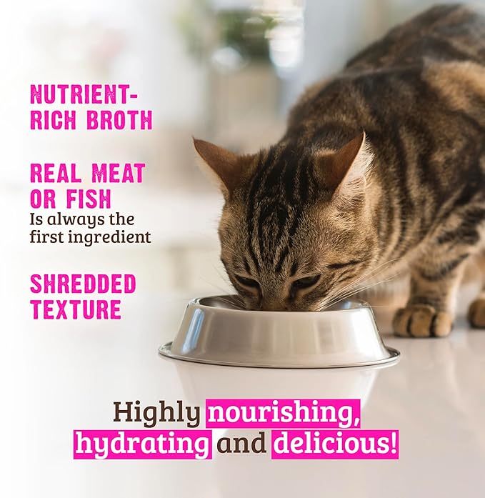 Rawz Natural Premium Canned Cat Wet Food Shredded -12 Pack Chicken Variety - 4 Flavors - (Chicken & Duck, Chicken & Liver, Chicken & Pumpkin, Chicken) Pets Food Bowl - (3oz Cans)