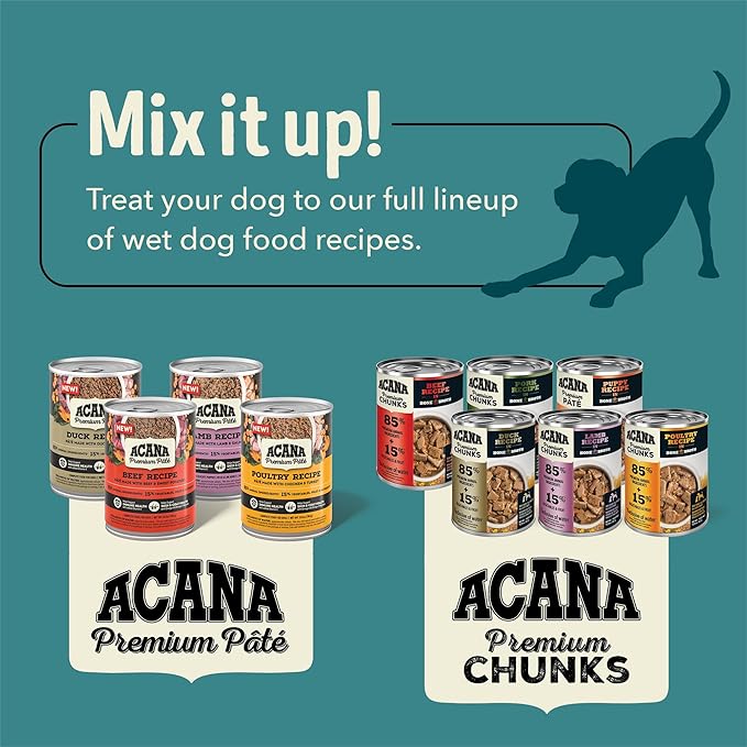 ACANA Premium Pate in Bone Broth Grain-free Wet Dog Food Poultry Recipe 12.8oz Cans (12 Count)