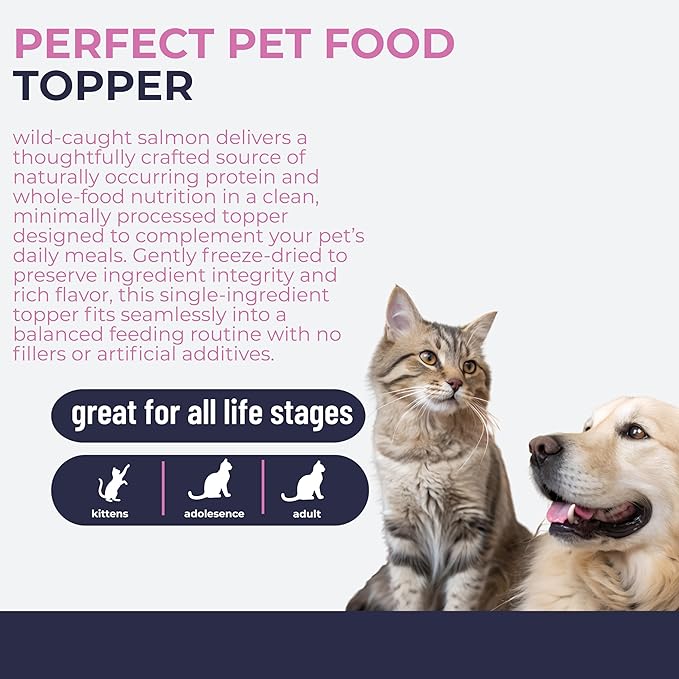 Momentum Carnivore Nutrition Freeze-Dried Wild-Caught Salmon Pet Food Topper – Single-Ingredient, All-Natural Topper – High-Protein for Dogs and Cats, Grain-Free and Made in The USA– (3.75 oz Bag)