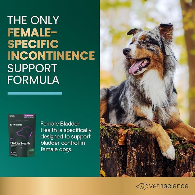 VETRISCIENCE Bladder Health Chews, Vetri Bladder Supplement for Dogs, Incontinence Support, Reduce Urine Leakage and Overactive Bladder, Soy Protein and Red Clover, Chicken, 60 Count