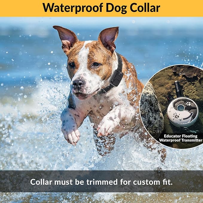 Educator E-Collar Dog Training Collar, Rechargeable Remote + Finger Clicker, for Small to Medium Dogs, Humane Tapping Stimulation, 100 Levels, Tone, Light, 1/2 Mile 1 Dog, Zen