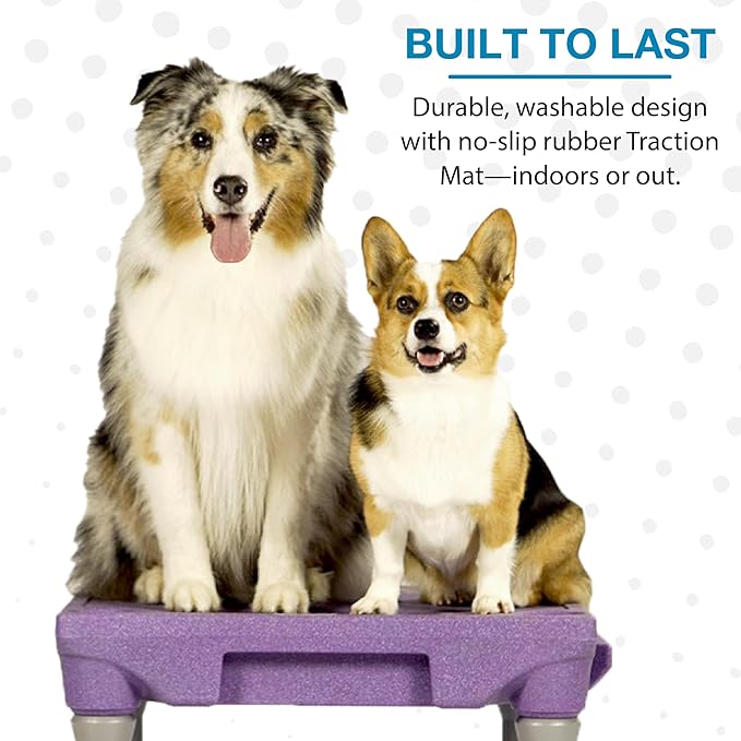 Blue-9 Happy Dog Starter Bundle with KLIMB Dog Training Platform & Traction Mat and Inspire Training Treat Pouch & Training Treats, Purple