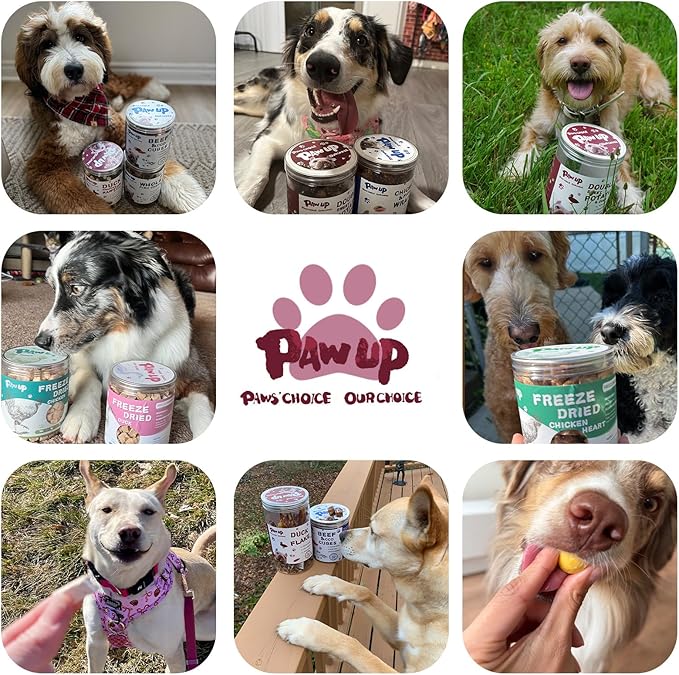 PAWUP Freeze Dried Dog Treats, Single Ingredient Duck, All Natural, Whole-Cut, High Protein Low Fat Treats for Medium & Large Dogs (3.8 oz)