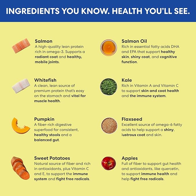 The Pets Table Salmon & Whitefish with Pumpkin Grain Free Air Dried Dog Food, 1 lb / 16 oz Bag