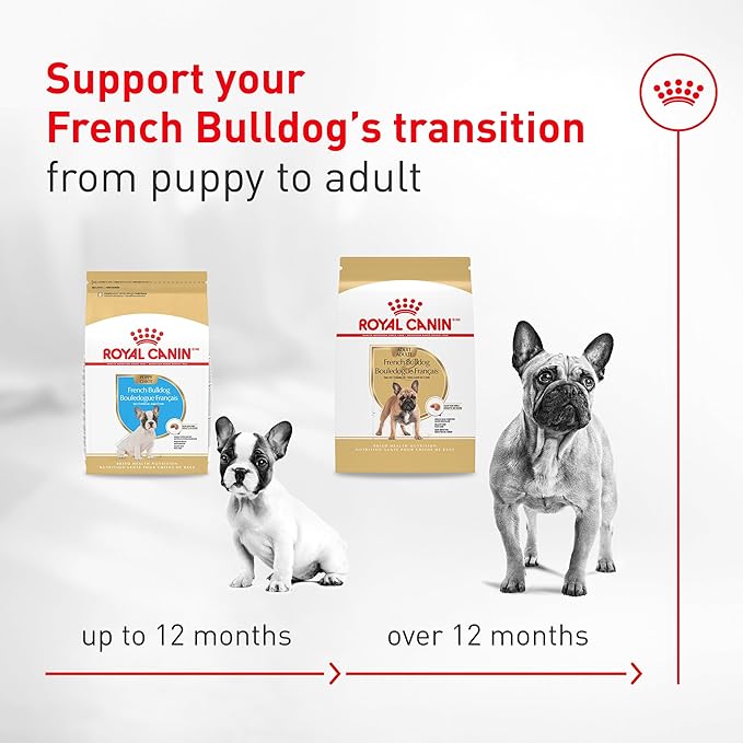 Royal Canin Breed Health Nutrition French Bulldog Wet Dog Food for Adult Dogs, Loaf Wet Food for French Bulldogs 12 Months+, Supports Digestive Health and Bone & Joint Health, Multipack 6 x 3 oz cans